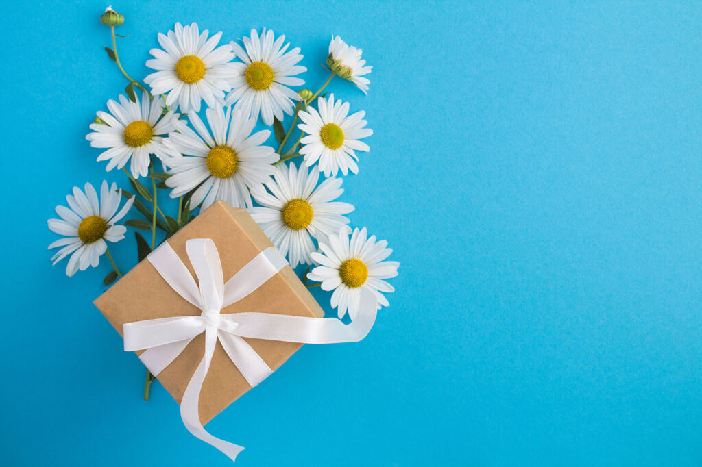 無料テンプレート配布